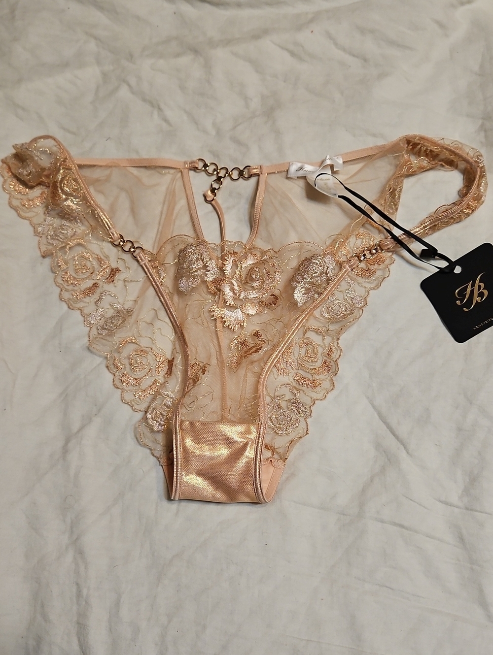 Honey Birsette Nouvel Panty XL -Embroidered Lace Sheer Bikini Panty in Champagne
